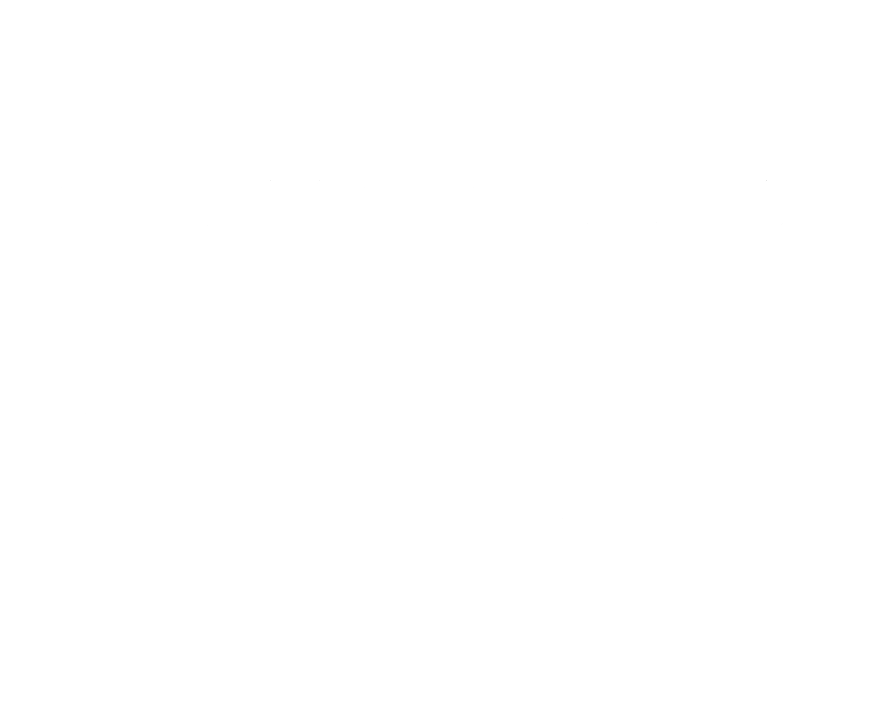 Molli Nicole Media Logo